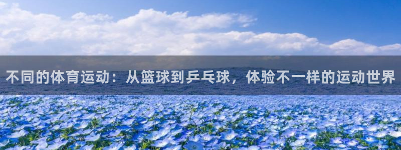 沐鸣app下载：不同的体育运动：从篮球到乒乓球，体验不一样的运动世界