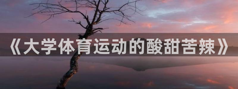 沐鸣2体育：《大学体育运动的酸甜苦辣》