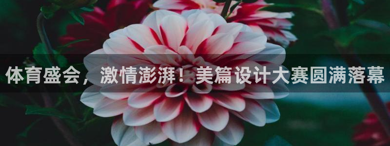 沐鸣4平台注册：体育盛会，激情澎湃！美篇设计大赛圆满落幕