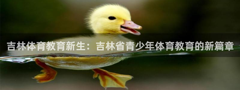 成都沐鸣电子有限公司：吉林体育教育新生：吉林省青少年体育教育的新篇章