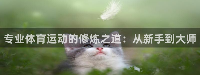 沐鸣5注册：专业体育运动的修炼之道：从新手到大师