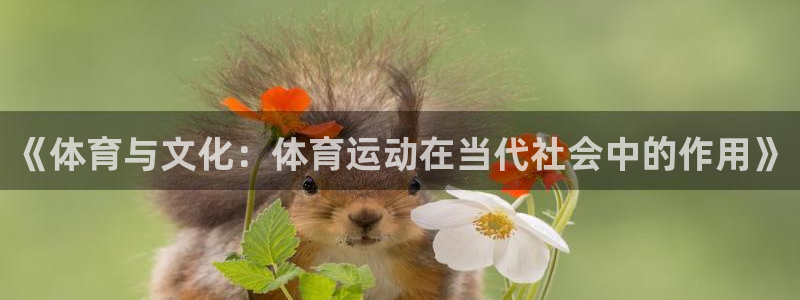沐鸣体育合法嘛：《体育与文化：体育运动在当代社会中的作用》