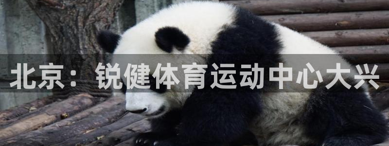 沐鸣体育官网注册：北京：锐健体育运动中心大兴