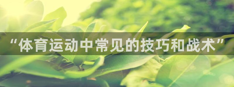 沐鸣f平台注册：“体育运动中常见的技巧和战术”
