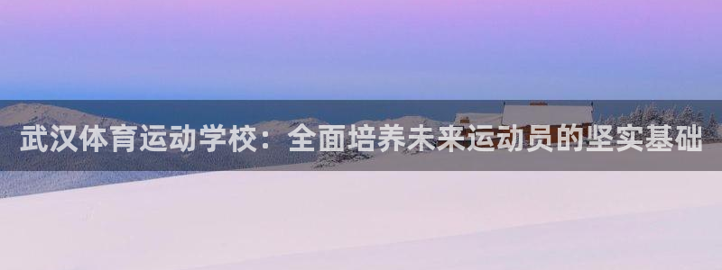 沐鸣平台在线注册：武汉体育运动学校：全面培养未来运动员的坚实基础