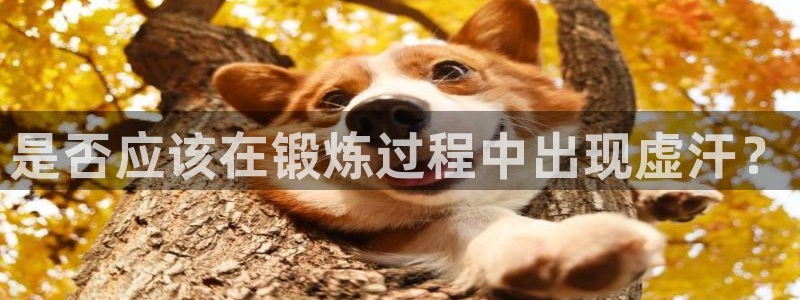 沐鸣app下载地址：是否应该在锻炼过程中出现虚汗？