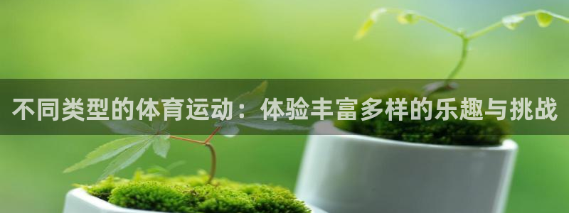 沐鸣官网：不同类型的体育运动：体验丰富多样的乐趣与挑战