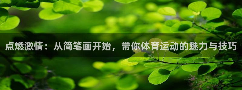 沐鸣4官网：点燃激情：从简笔画开始，带你体育运动的魅力与技巧