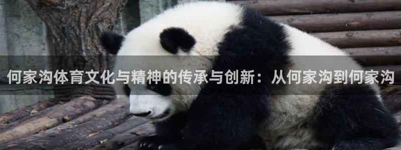 沐鸣2在线登录：何家沟体育文化与精神的传承与创新：从何家沟到何家沟