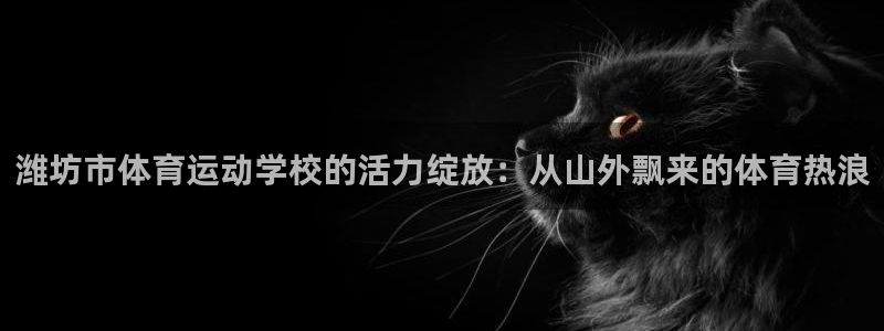 沐鸣平台招商：潍坊市体育运动学校的活力绽放：从山外飘来的体育热浪