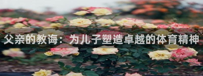 沐鸣网页版地址：父亲的教诲：为儿子塑造卓越的体育精神