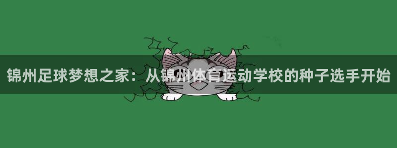 沐鸣体育3：锦州足球梦想之家：从锦州体育运动学校的种子选手开始