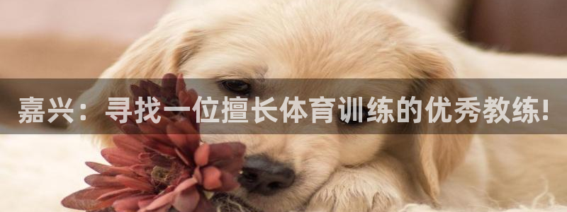 沐鸣网址注册：嘉兴：寻找一位擅长体育训练的优秀教练!