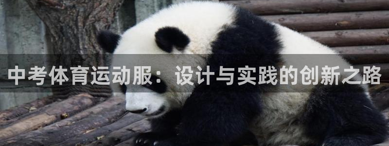 沐鸣代理：中考体育运动服：设计与实践的创新之路